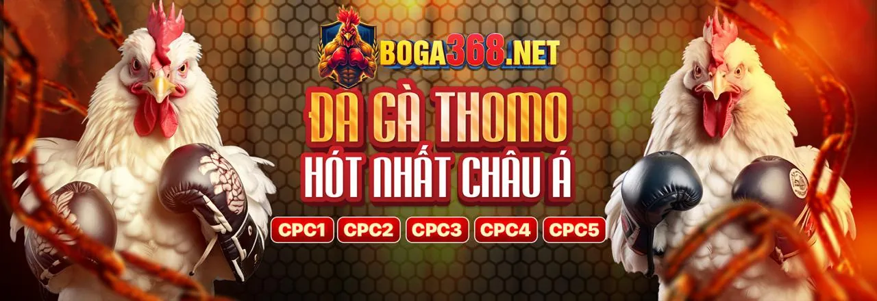 Đá Gà Trực Tuyến Hấp Dẫn tại agbong88 win
